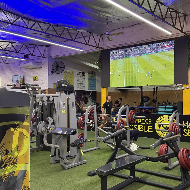 Zona de cardio de Golden Gym Centro con pantallas y luces azules